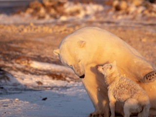 Rätsel #59825